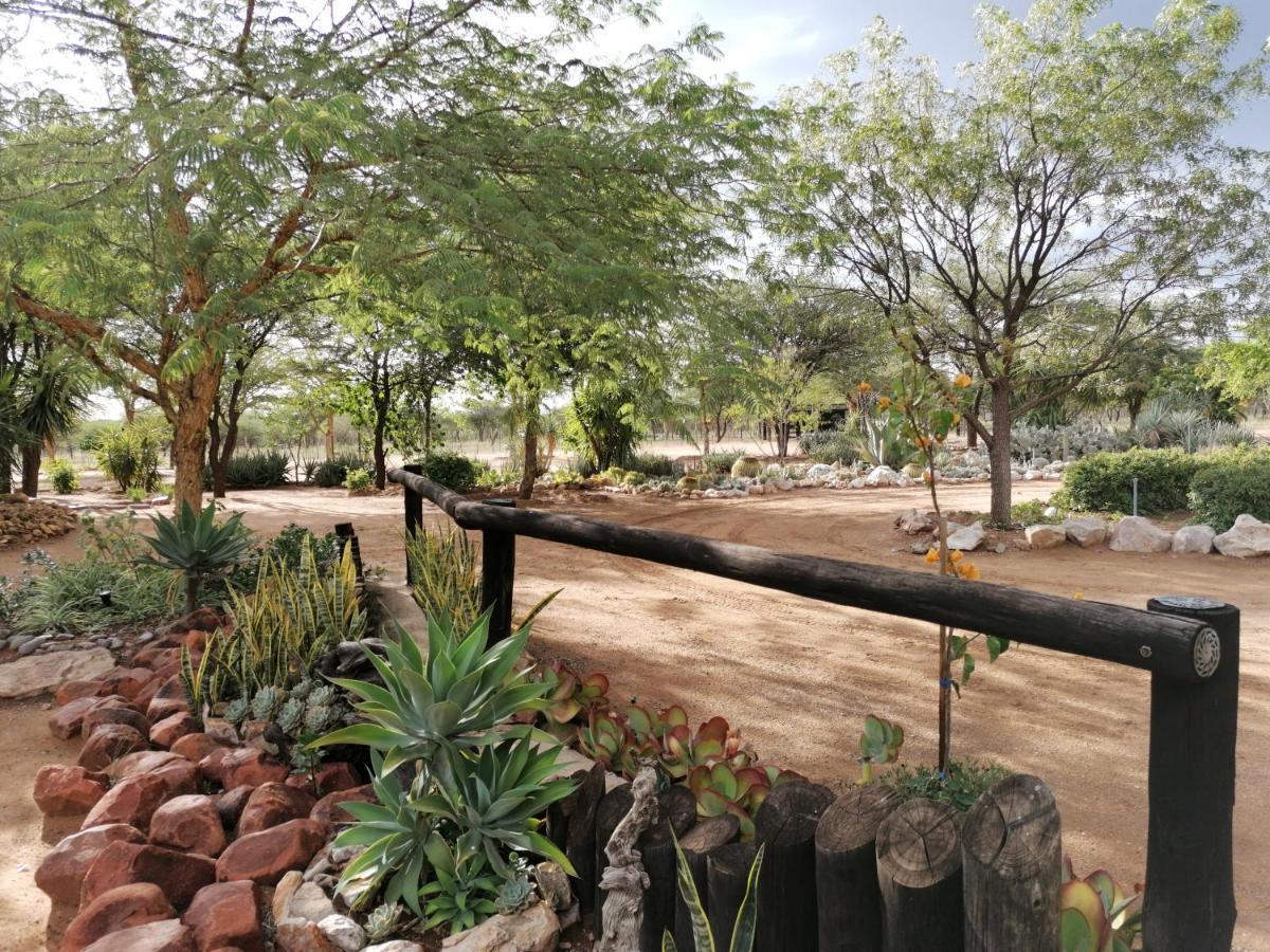 Lion'S Den Guesthouse Otjiwarongo Zewnętrze zdjęcie