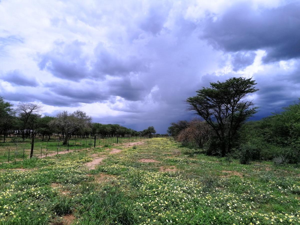 Lion'S Den Guesthouse Otjiwarongo Zewnętrze zdjęcie