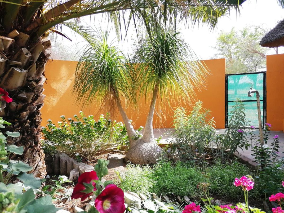 Lion'S Den Guesthouse Otjiwarongo Zewnętrze zdjęcie