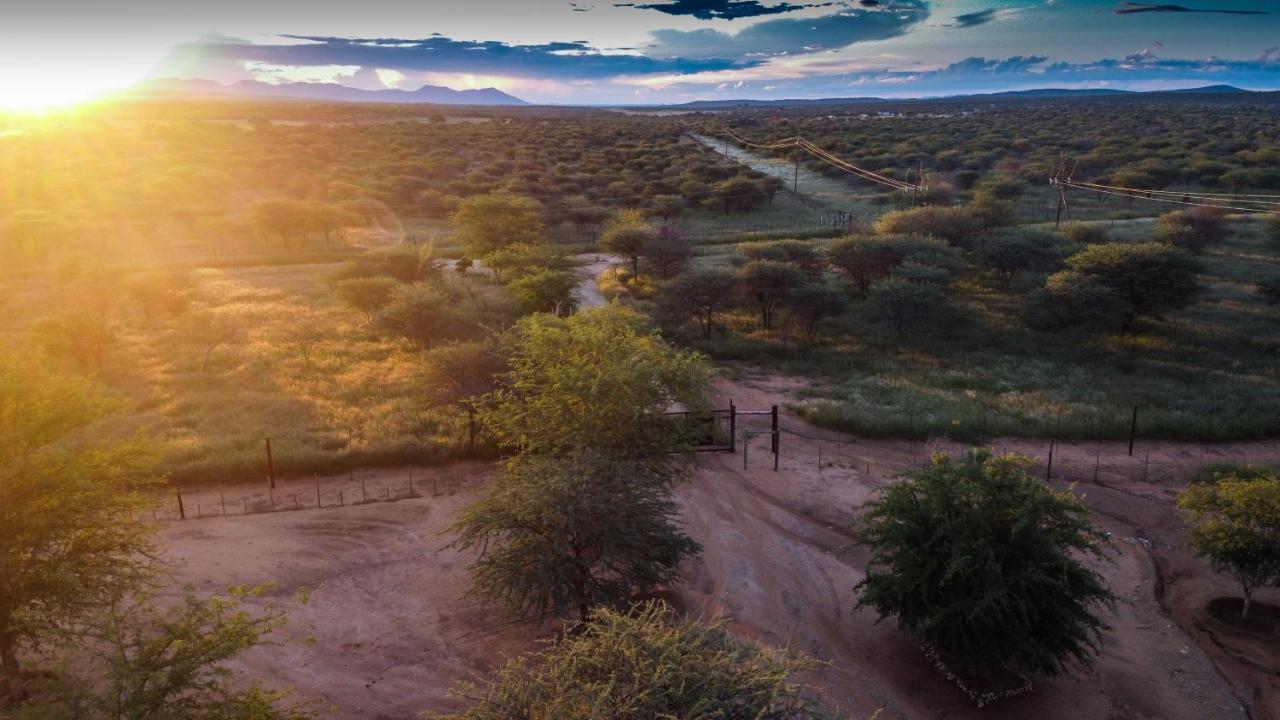 Lion'S Den Guesthouse Otjiwarongo Zewnętrze zdjęcie