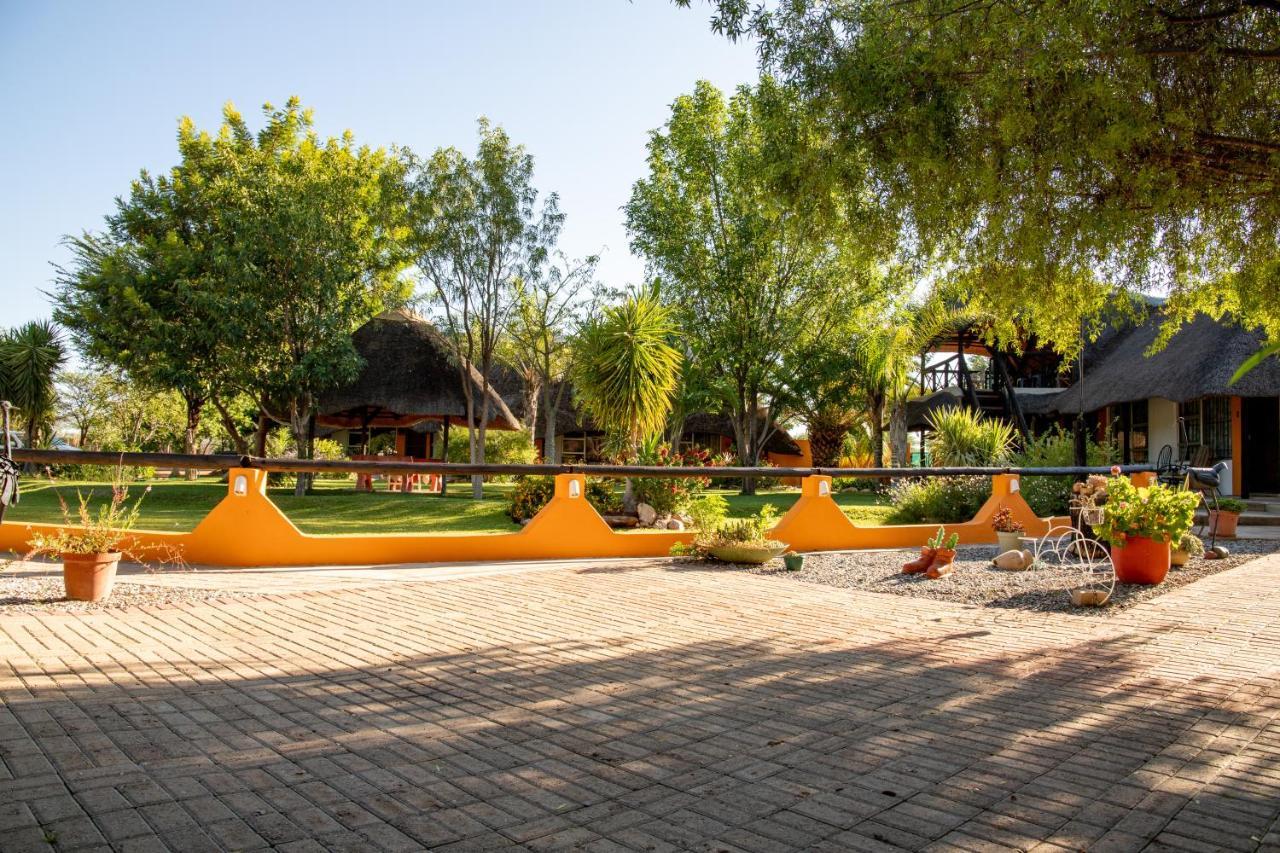 Lion'S Den Guesthouse Otjiwarongo Zewnętrze zdjęcie