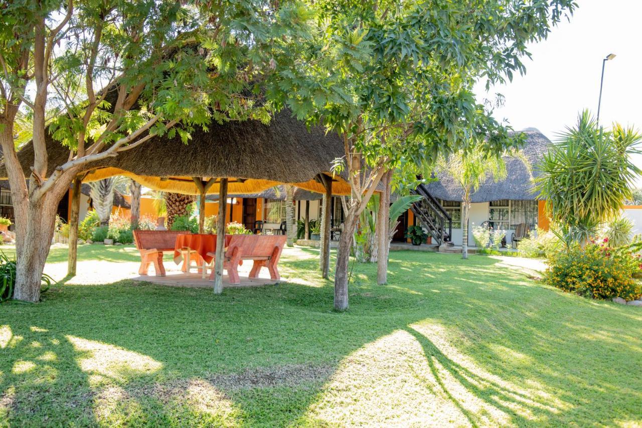 Lion'S Den Guesthouse Otjiwarongo Zewnętrze zdjęcie