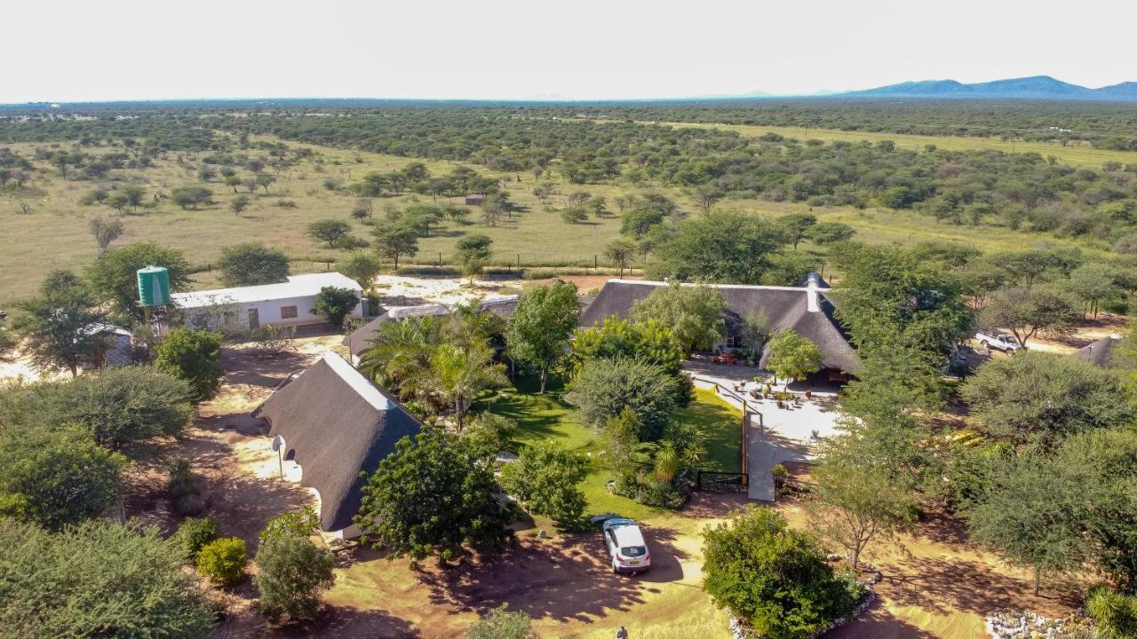 Lion'S Den Guesthouse Otjiwarongo Zewnętrze zdjęcie